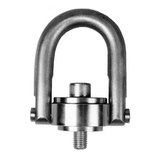 1/4" - 20 Stainless Steel Hoist Ring 300 lbs WLL (58100)