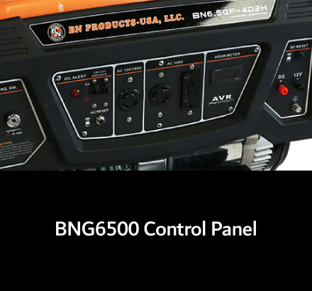 BNG6500 Gas Generator