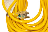100 ft. 12/3 Heavy Duty Indoor/Outdoor Extension Cord WITH LIGHT (29-EC12100T)