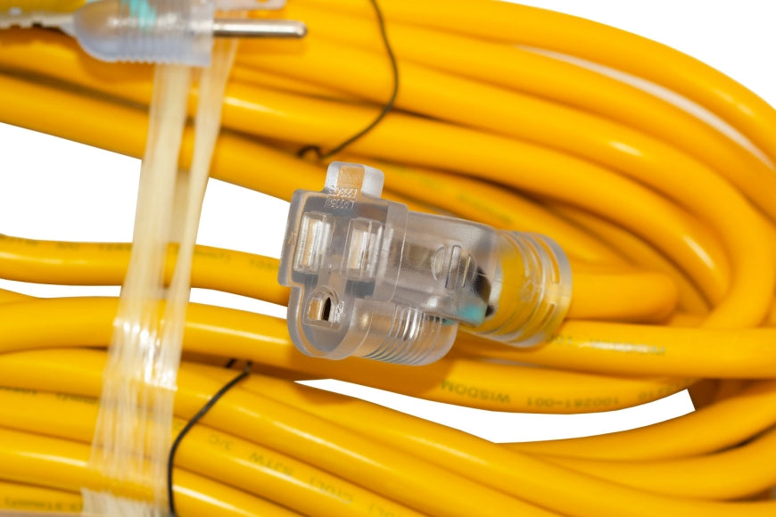 25 ft. 12/3 Heavy Duty Indoor/Outdoor Extension Cord (29-EC1225)