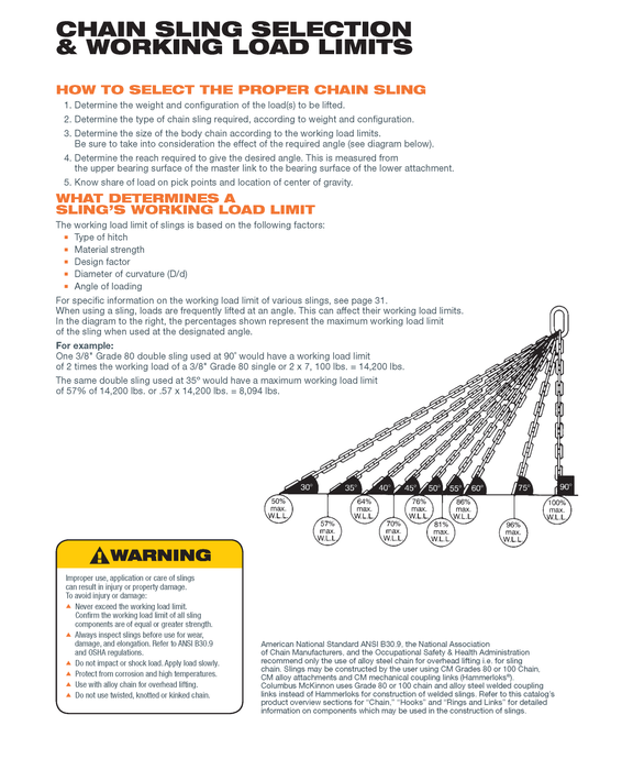 Single-leg chain assembly with oblong master link on top and swivel self locking hook on bottom